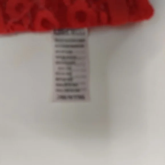 Bra Size 36C Underwire Molded Cup Red Demi Cup Lace Leopard Print Rhinestone - Picture 9 of 10